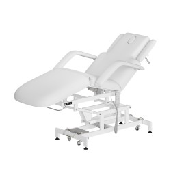 Camilla para masaje Electra de 3 motores 3 cuerpos con apoyabrazos con ruedas